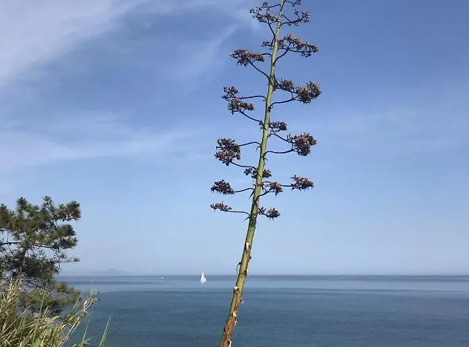 Apartman Residence Arenzano Pineta - Casabuca8 - Appartamento Moderno - Con Balcone - Vista Campo Da Golf - Vicino Al Mare